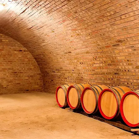 Gasthuis Rozsa-domb Vendeghaz Golop